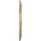 Ekena Millwork Cole PVC Medallion (Canopies up to 4 1/2"), 16"OD x 3 1/2"ID x 1"P, Metallic Champagne Mist CMP16COECE - alternate 4